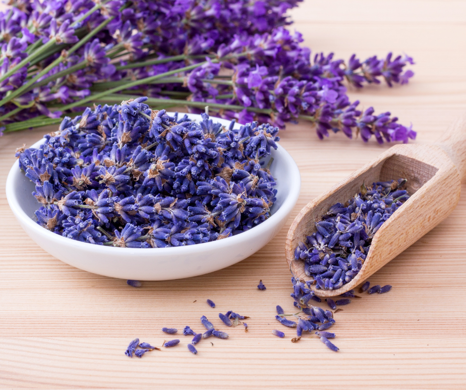 Four Ways Lavender Helps You Sleep Better, Feel Lighter, and Reconnect with Yourself…
