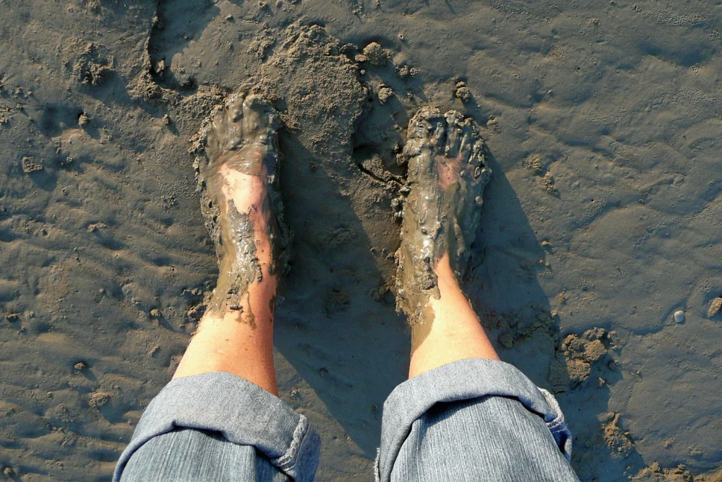 Søle: The Norwegian Mud that Grounds Our Nordic Wellness Journey
