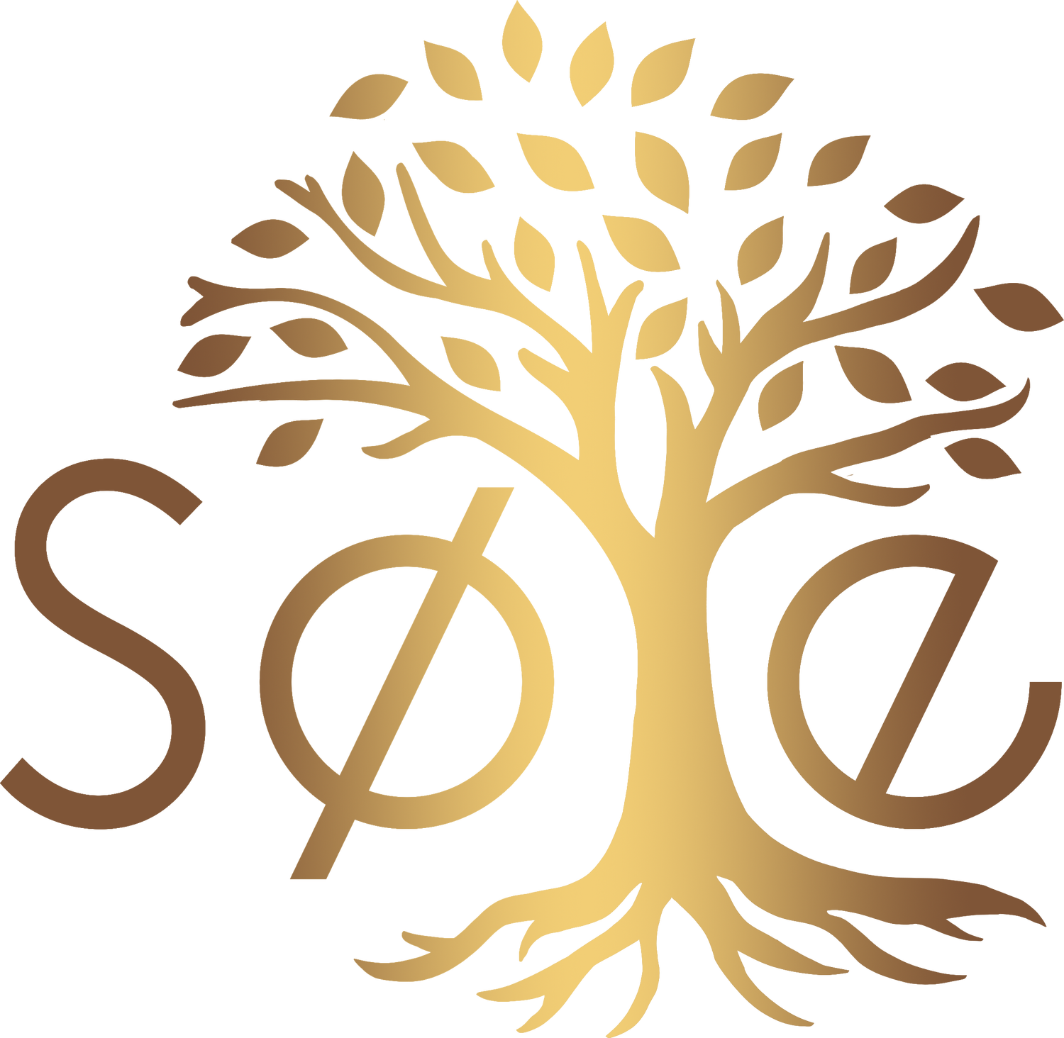 sole_1